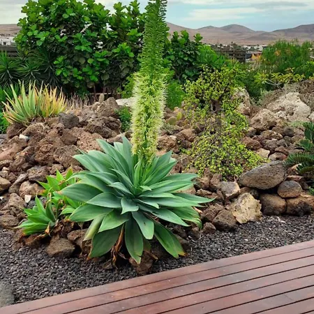 Private With Pool In Villa *