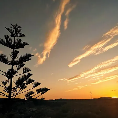 Private With Pool In *