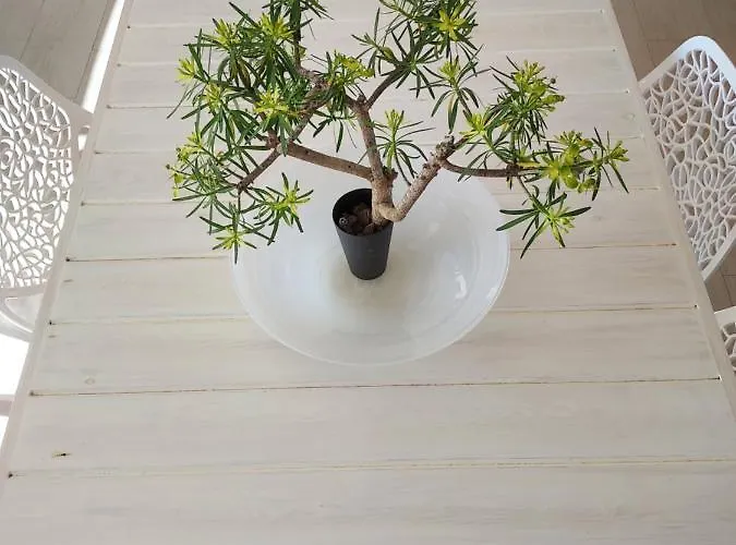 Vila Private With Pool In *