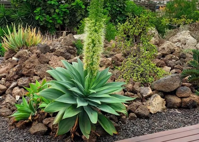 Private With Pool In Vila *